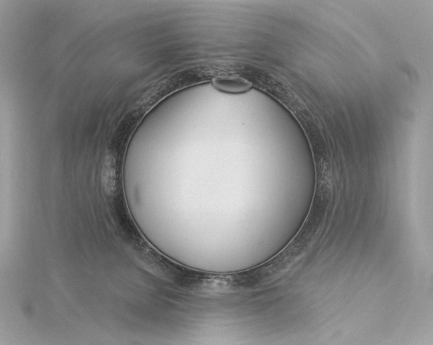 X0000115830080200912041656