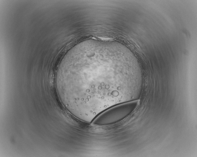 X0000115830081200912041656