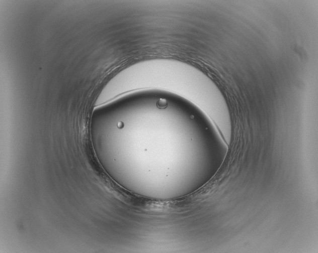 X0000115830084200912041656