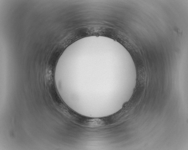 X0000115830087200912041656