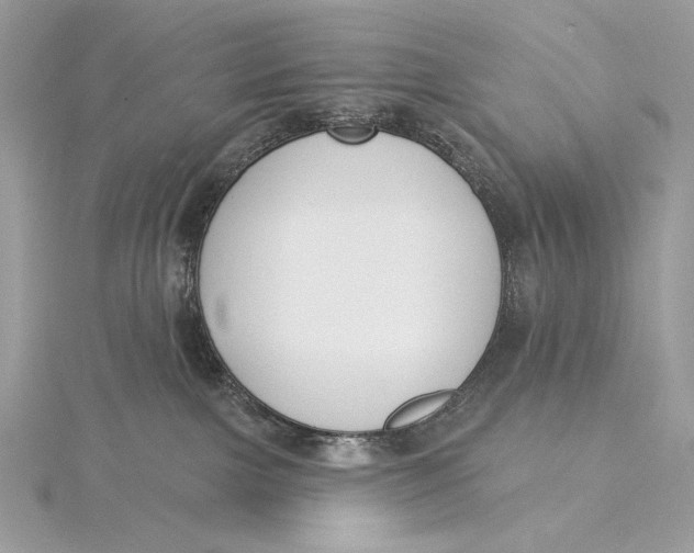 X0000115830091200912041656