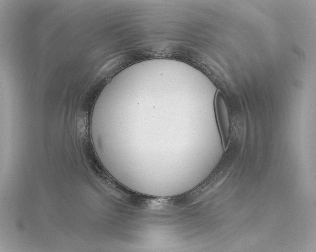 X0000115830092200912041657