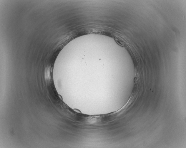 X0000115830094200912041657