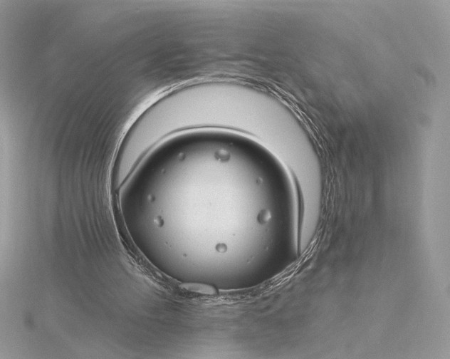 X0000115830100200912041656