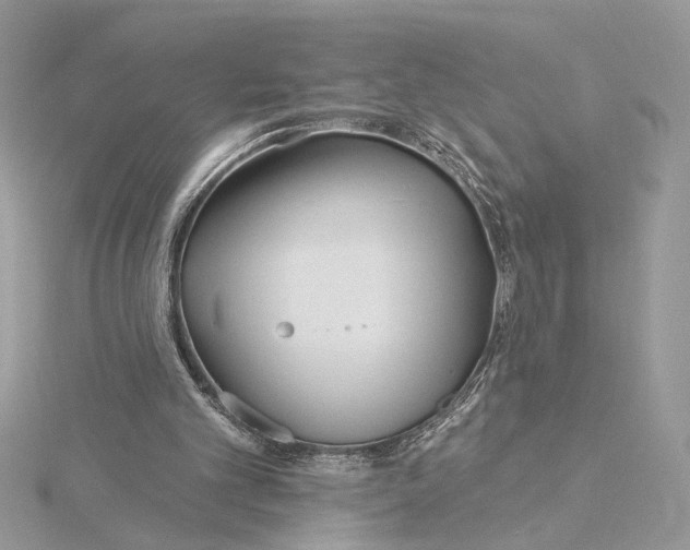 X0000115830101200912041656