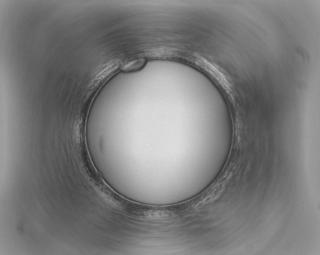 X0000115830105200912041656