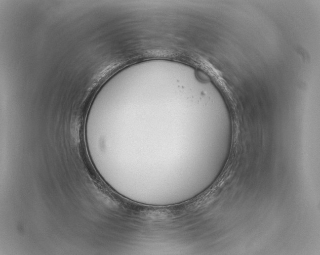 X0000115830106200912041656