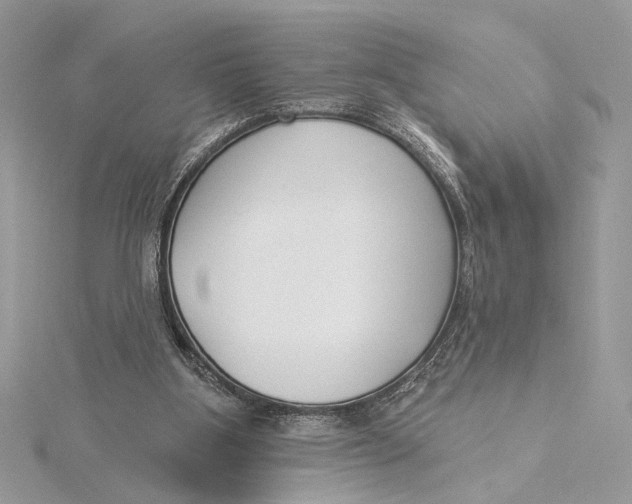 X0000115830107200912041656