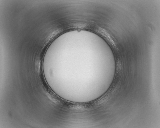 X0000115830110200912041656