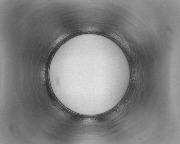 X0000115830111200912041656