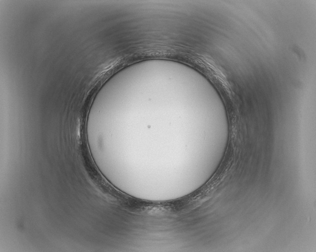 X0000115830115200912041656