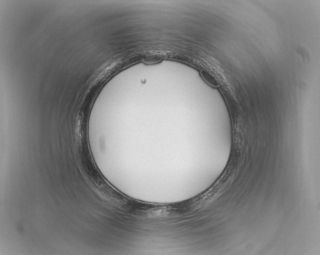 X0000115830116200912041656