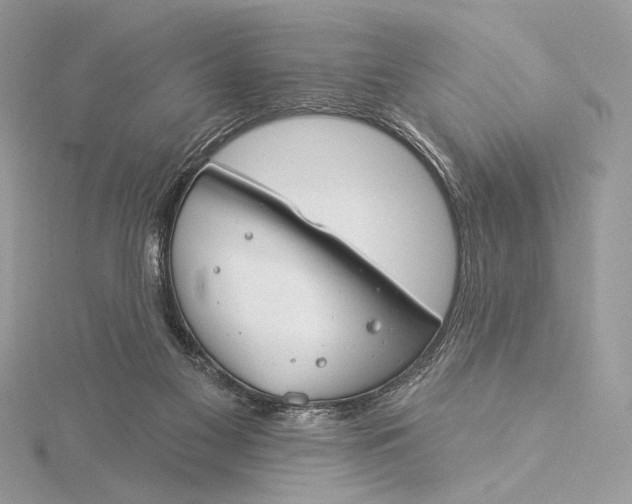 X0000115830117200912041656