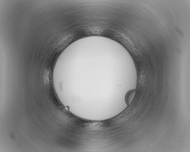 X0000115830122200912041656