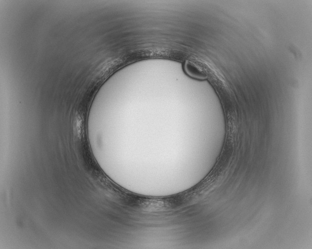 X0000115830123200912041656