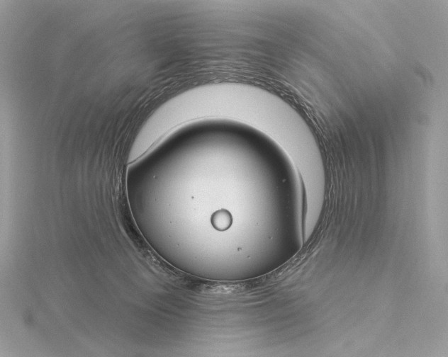 X0000115830129200912041656