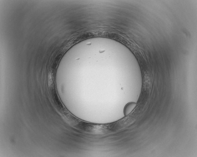 X0000115830130200912041656