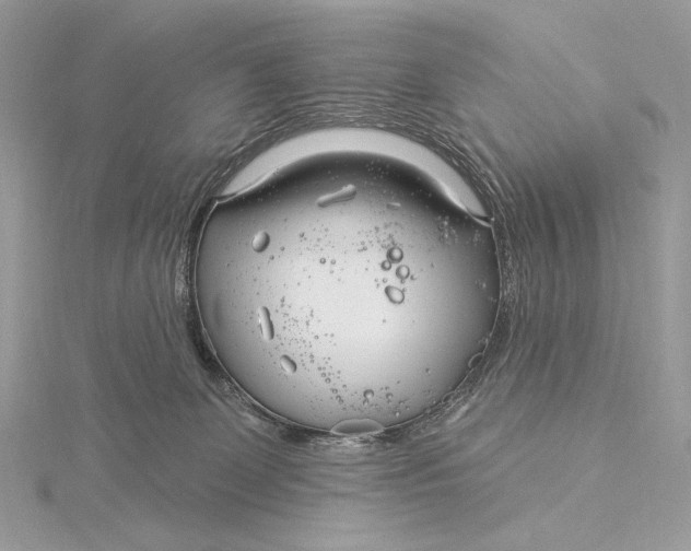 X0000115830131200912041656