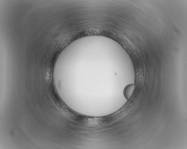 X0000115830134200912041655