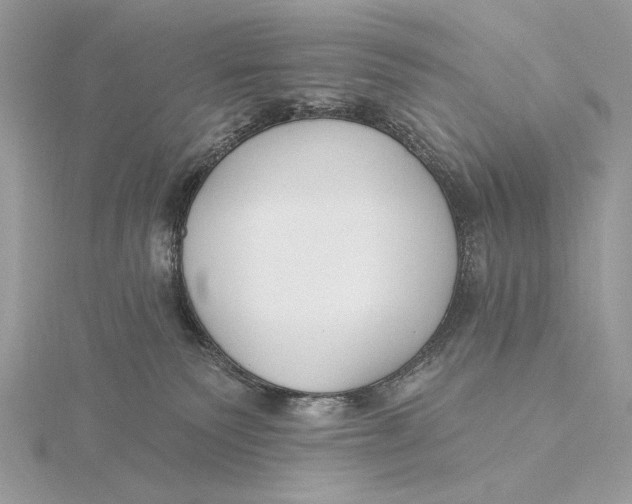 X0000115830135200912041655