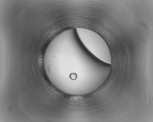 X0000115830137200912041655