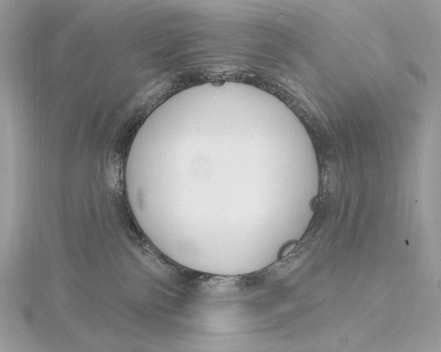 X0000115830138200912041655