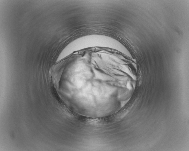 X0000115830139200912041655