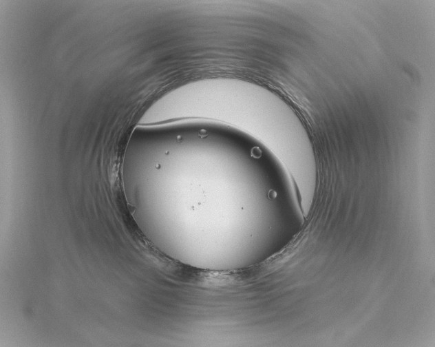 X0000115830141200912041655