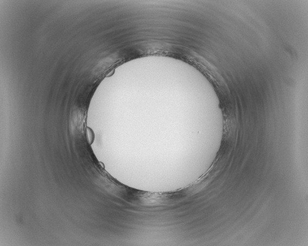 X0000115830142200912041655