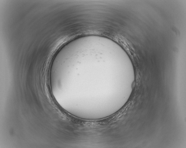 X0000115830145200912041655