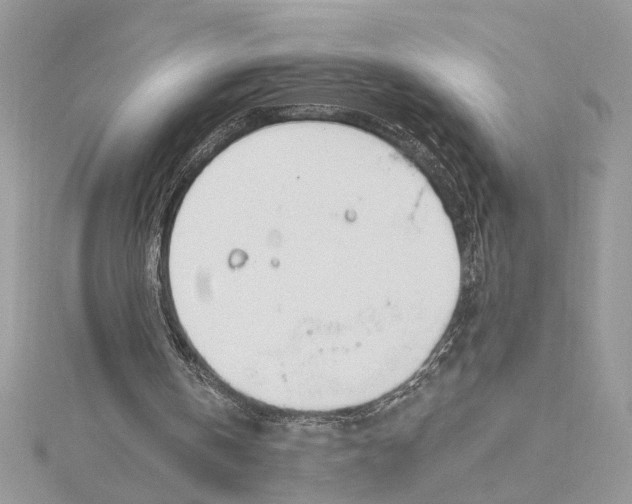 X0000115830146200912041655