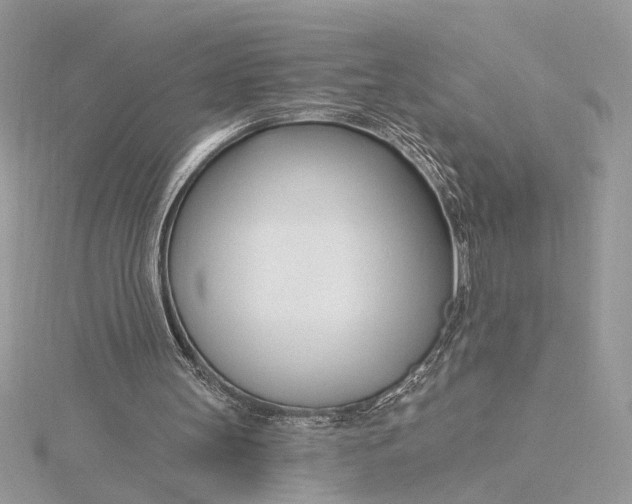 X0000115830147200912041655