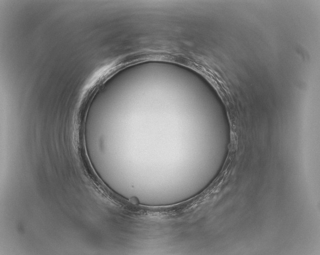 X0000115830149200912041655