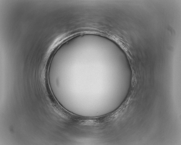 X0000115830151200912041655