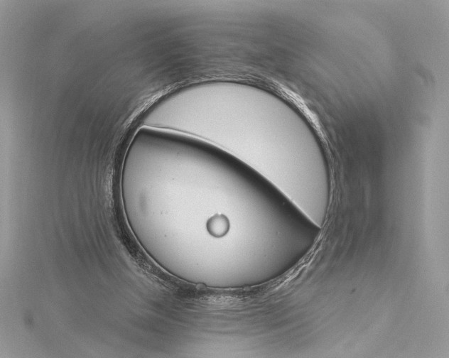 X0000115830154200912041655