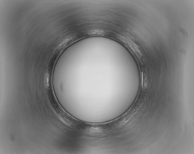 X0000115830157200912041655