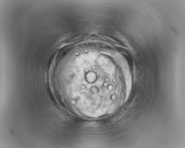 X0000115830161200912041655