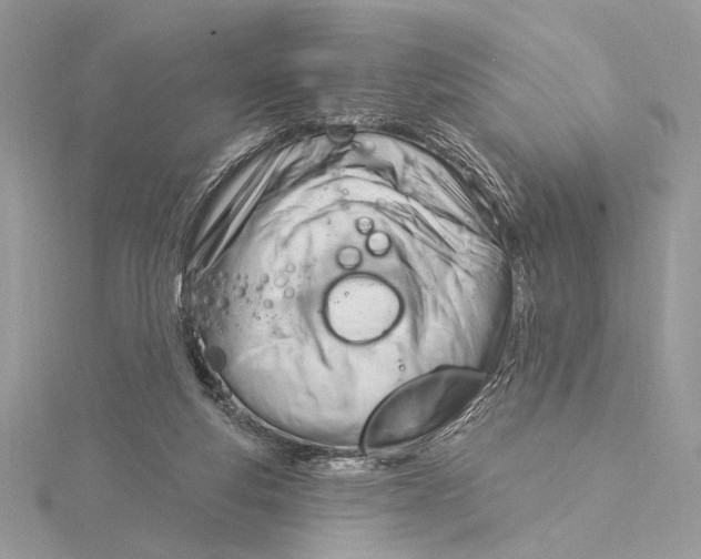 X0000115830163200912041655