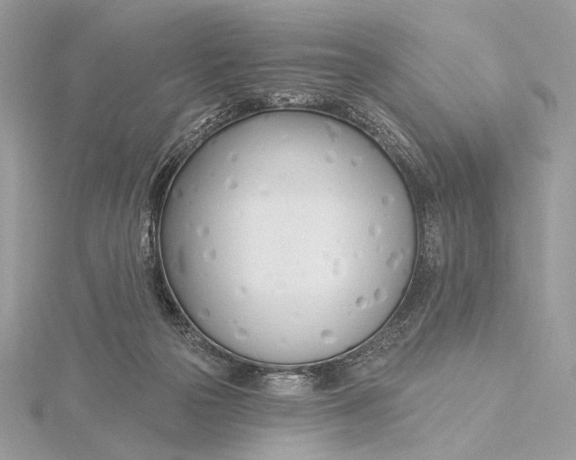 X0000115830169200912041655