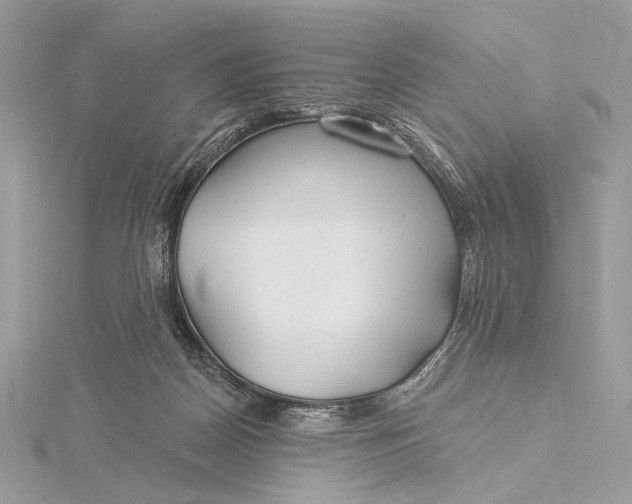 X0000115830170200912041655