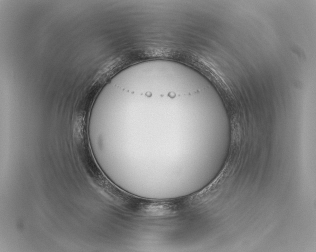 X0000115830171200912041655