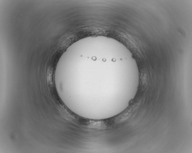 X0000115830185200912041655