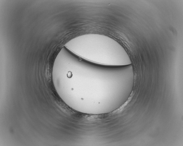 X0000115830186200912041655