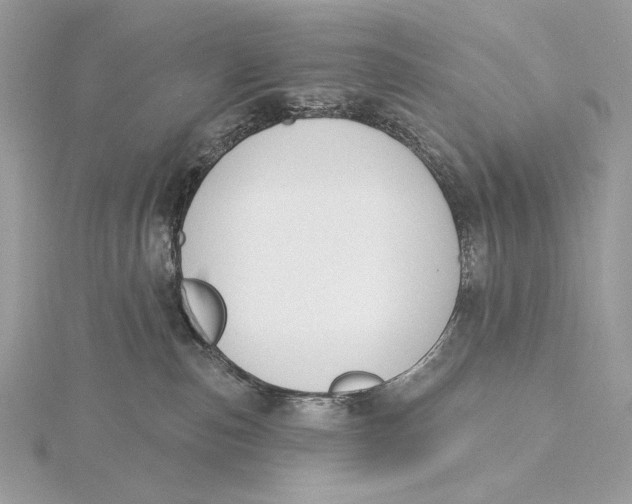 X0000115830187200912041655