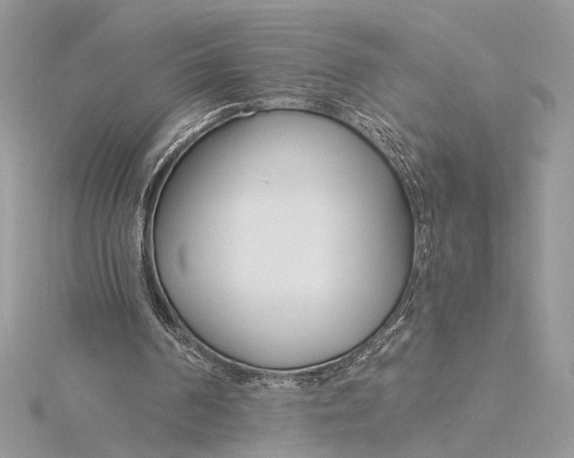 X0000115830194200912041655