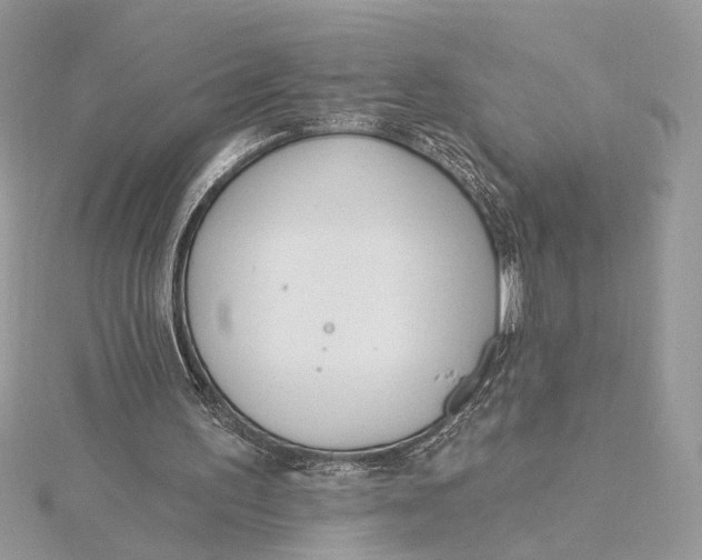 X0000115830195200912041655