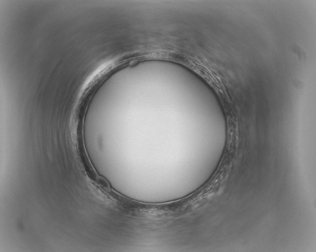 X0000115830197200912041655