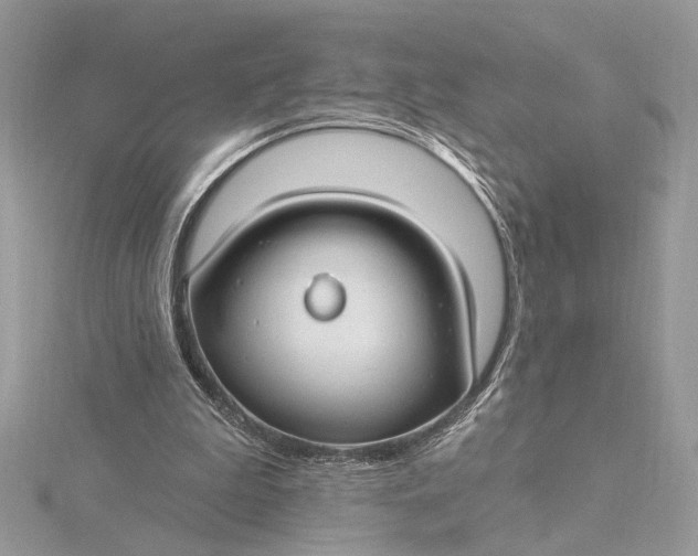 X0000115830199200912041655