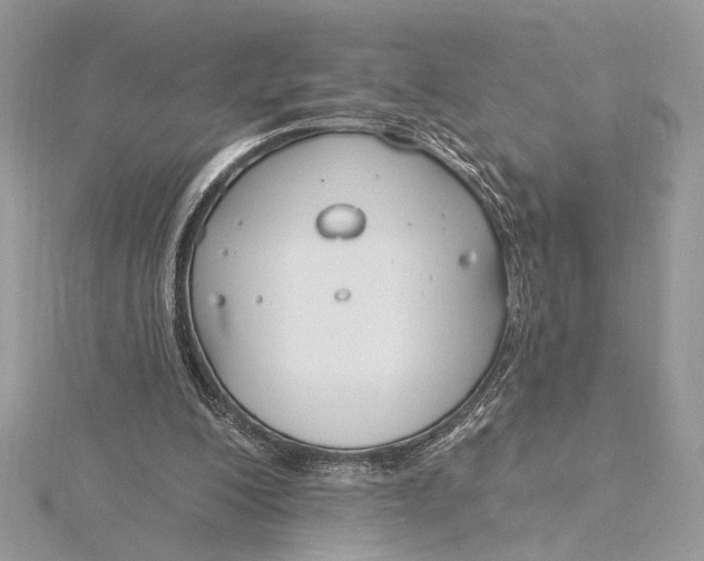 X0000115830200200912041655