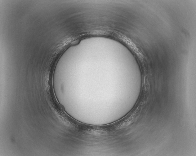 X0000115830201200912041655